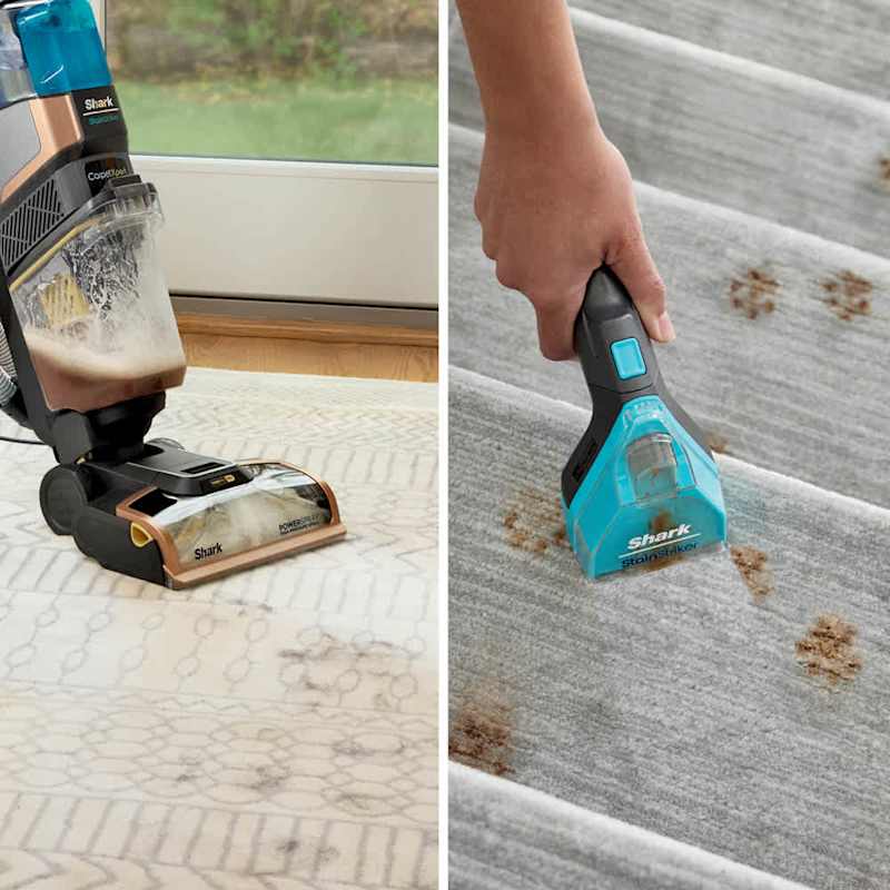 CarpetXpert deep-cleaning a rug, and the portable StainStriker tool treating muddy paw prints on stairs