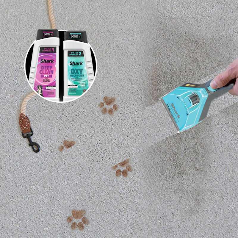 StainStriker tool treating paw-print stains on carpet, with Deep Clean Pet and Oxy Multiplier formulas